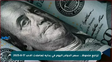 تراجع ملحوظ.. سعر الدولار اليوم في بداية تعاملات الأحد 17-8-2025